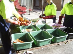 audits2